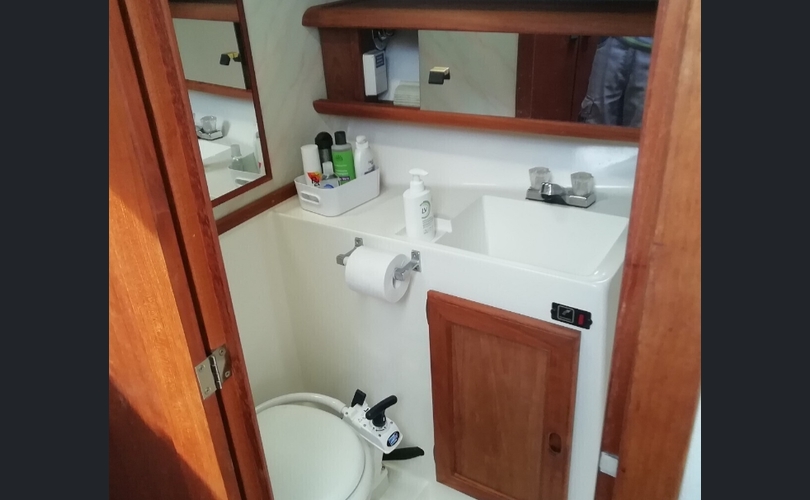 Bayliner 3288-kuva-7